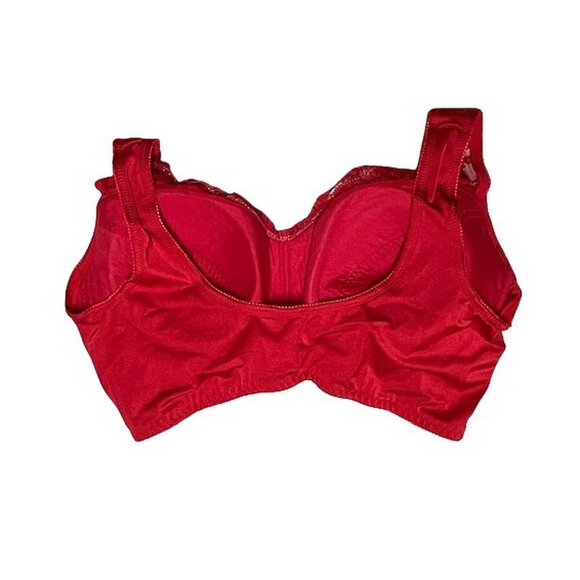 Rhonda Shear Classic Pin-Up Bra Set of Three 3X - Picture 6 of 7